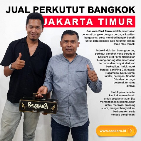 Jual Perkutut Bangkok Jakarta Timur