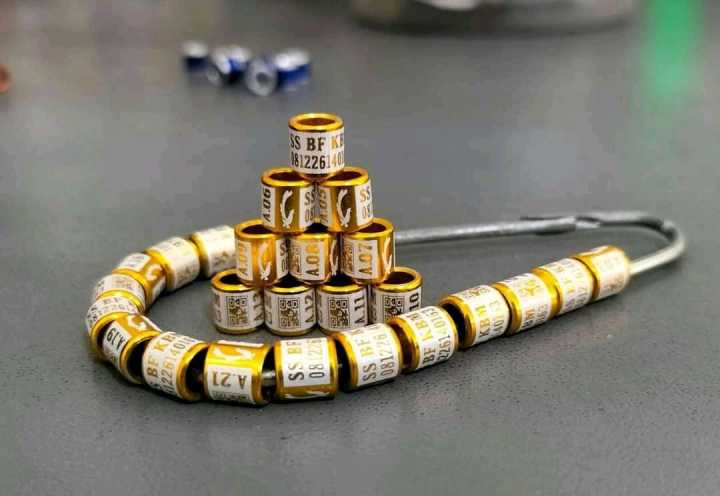 Jual Ring Burung di Cirebon, Bahan Pilihan Harga Bersaing Hubungi WA 08871911935