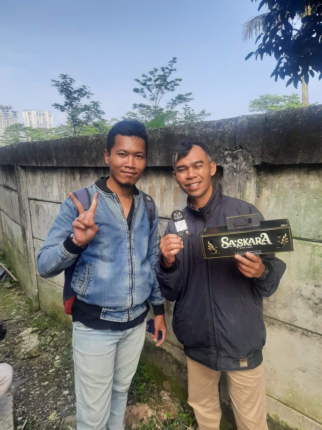 Jual Perkutut Bangkok Trah Lomba Nasional Gacor Siap Kirim Cepat Garansi Selamanya