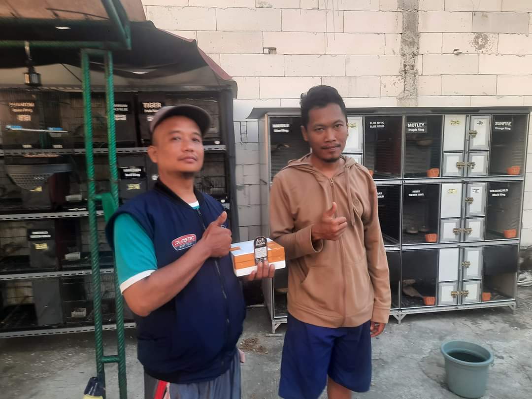 Jual Vitamin Jamu Perkutut di Pacitan Bahan Premium Harga Paling Murah, Hubungi WA 08871911935